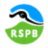 RSPB - crows and allies
