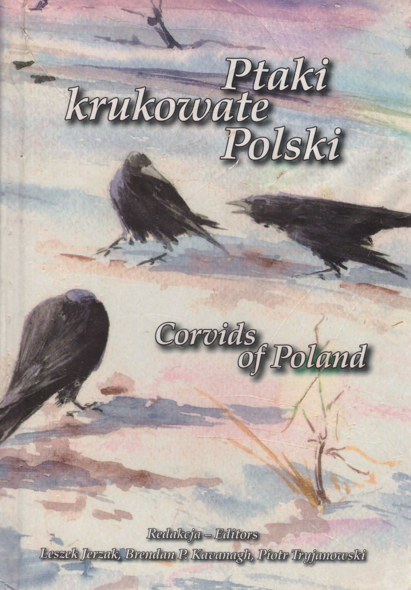 Ptaki krukowate Polski